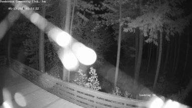 Ponderosa Webcam