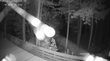 Ponderosa Webcam