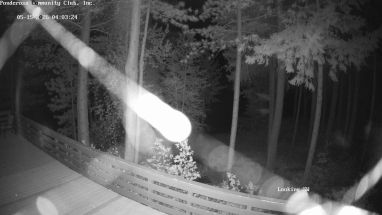 Ponderosa Webcam