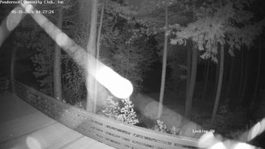 Ponderosa Webcam