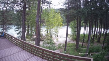 Ponderosa Webcam