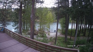 Ponderosa Webcam