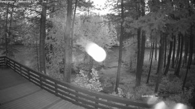 Ponderosa Webcam