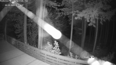 Ponderosa Webcam
