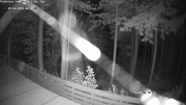 Ponderosa Webcam