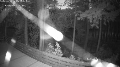 Ponderosa Webcam