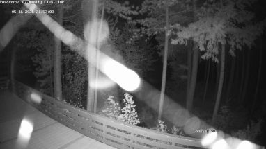 Ponderosa Webcam