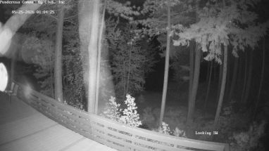 Ponderosa Webcam