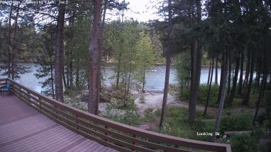 Ponderosa Webcam