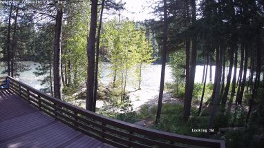 Ponderosa Webcam