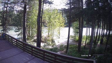 Ponderosa Webcam