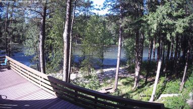Ponderosa Webcam