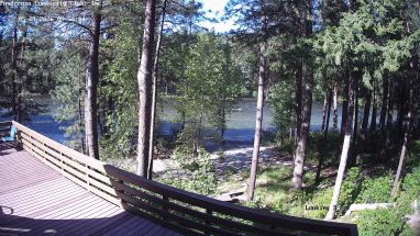 Ponderosa Webcam
