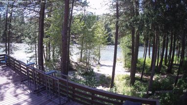 Ponderosa Webcam