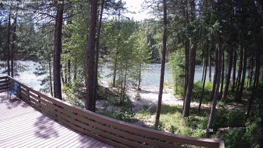 Ponderosa Webcam