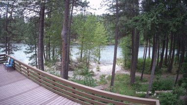 Ponderosa Webcam