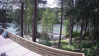 Ponderosa Webcam