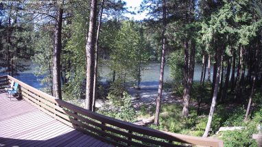 Ponderosa Webcam