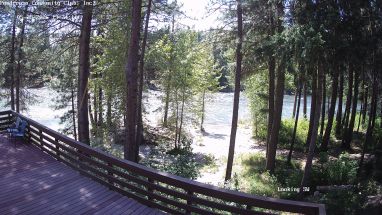 Ponderosa Webcam