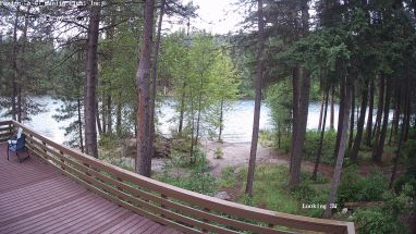 Ponderosa Webcam