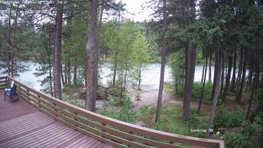 Ponderosa Webcam