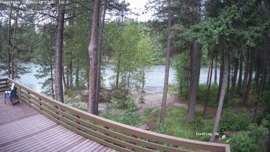 Ponderosa Webcam