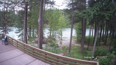 Ponderosa Webcam