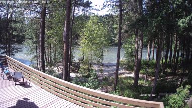 Ponderosa Webcam