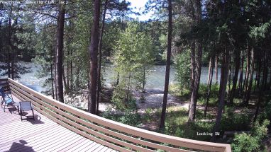 Ponderosa Webcam