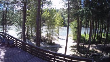Ponderosa Webcam