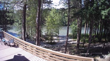 Ponderosa Webcam
