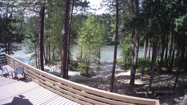 Ponderosa Webcam